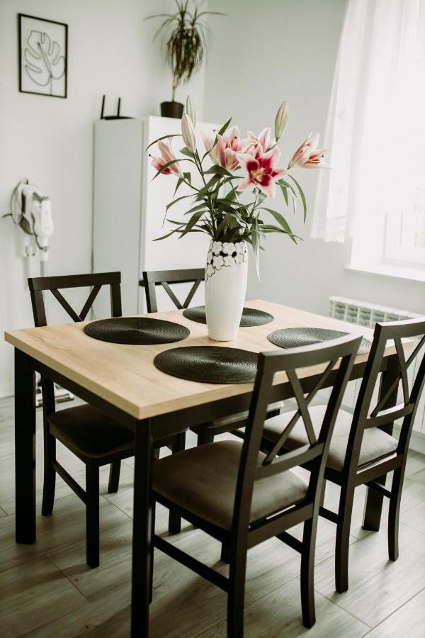 Apartament Magnolia -Centrum تارنوف المظهر الخارجي الصورة