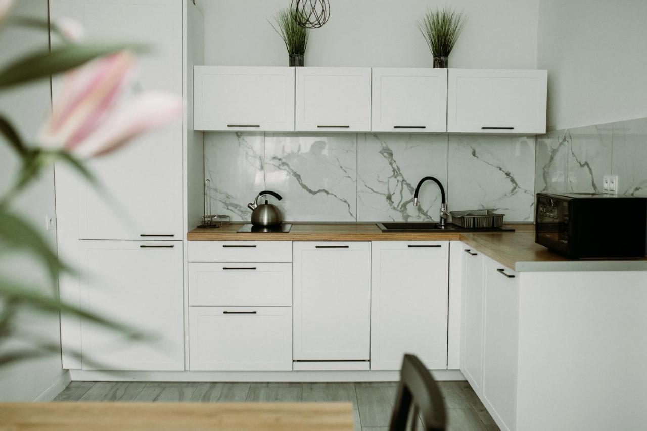 Apartament Magnolia -Centrum تارنوف المظهر الخارجي الصورة