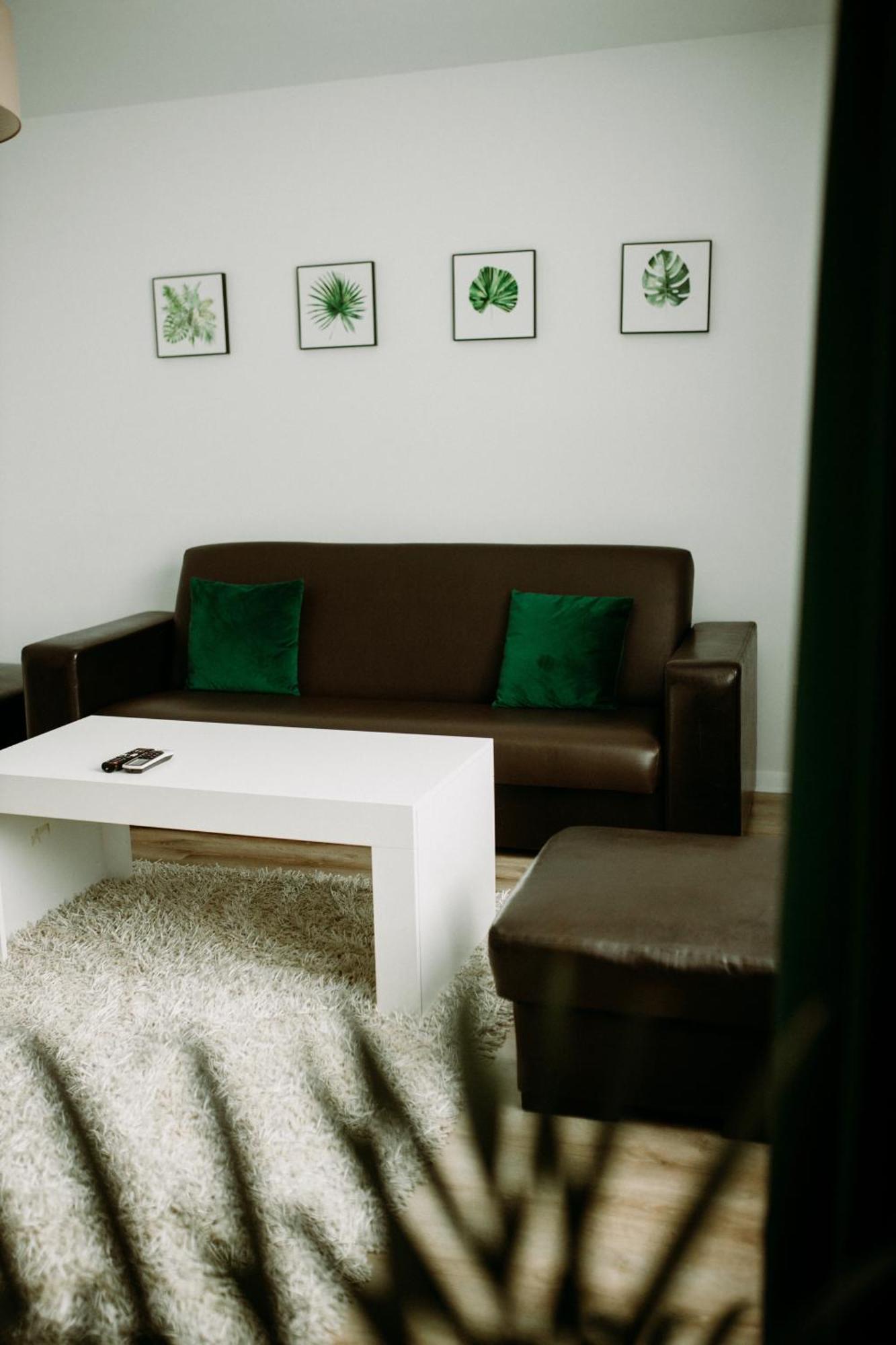 Apartament Magnolia -Centrum تارنوف المظهر الخارجي الصورة